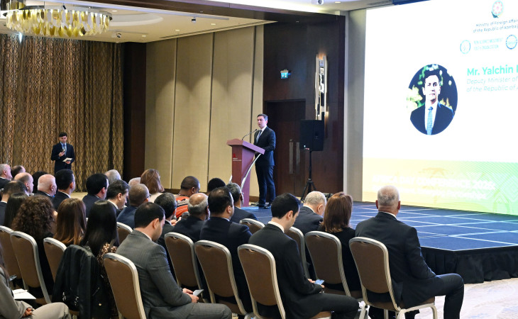 Baku hosts international conference marking Africa Day