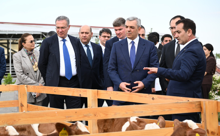 Xocalıda “Qoç Ət”in heyvandarlıq kompleksi ilə tanışlıq olub