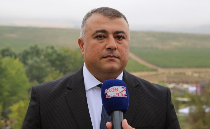 Kənd Təsərrüfati Nazirliyi: Pambıqçılıq, tütünçülük, baramaçılıq və arıçılığa görə verilən subsidiyalar ləğv edilməyib