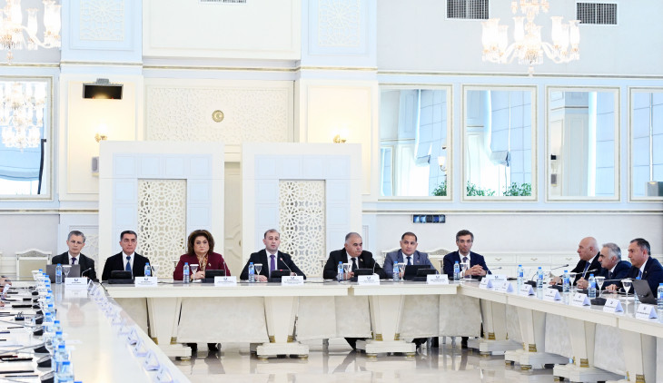 Milli Məclisdə uşaqların sosial şəbəkə platformalarındakı zərərli təsirlərdən qorunmasına dair ictimai müzakirə olub