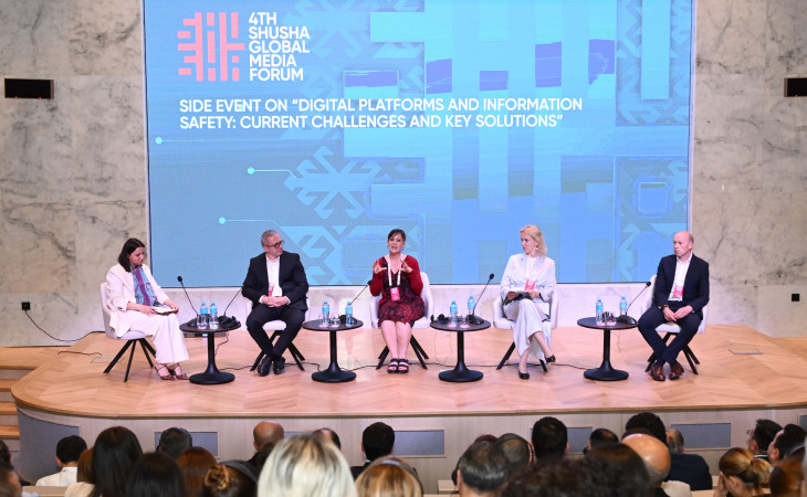 “Digital Platforms and Information Safety: Current Challenges and Key Solutions”