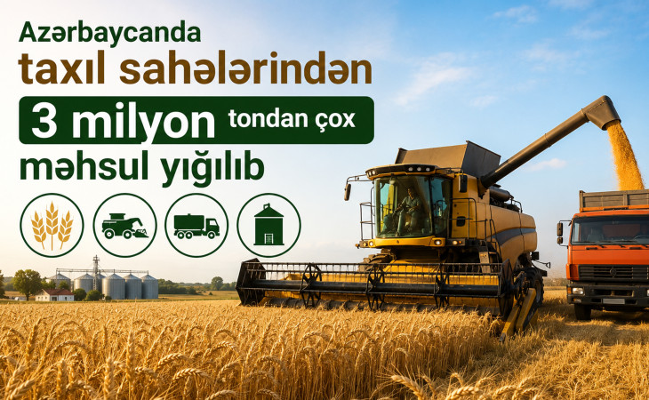 Azərbaycanda taxıl sahələrindən 3 milyon tondan çox məhsul yığılıb
