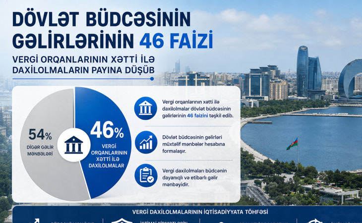 Dövlət büdcəsinin gəlirlərinin 46 faizi vergi orqanlarının xətti ilə daxilolmaların payına düşüb