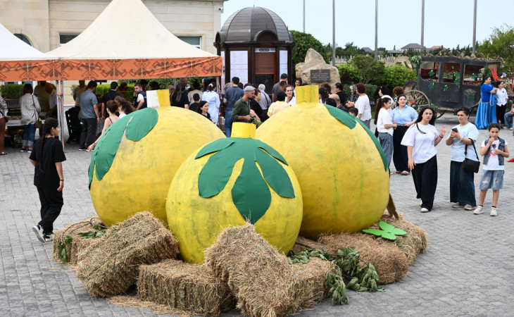 Qala Əncir Festivalı: dad, ənənə və sənət bir arada