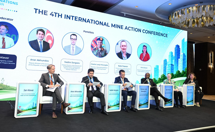 Mina ilə çirklənmiş şəhərlərin bərpasında siyasətin inteqrasiyası - Panel sessiya