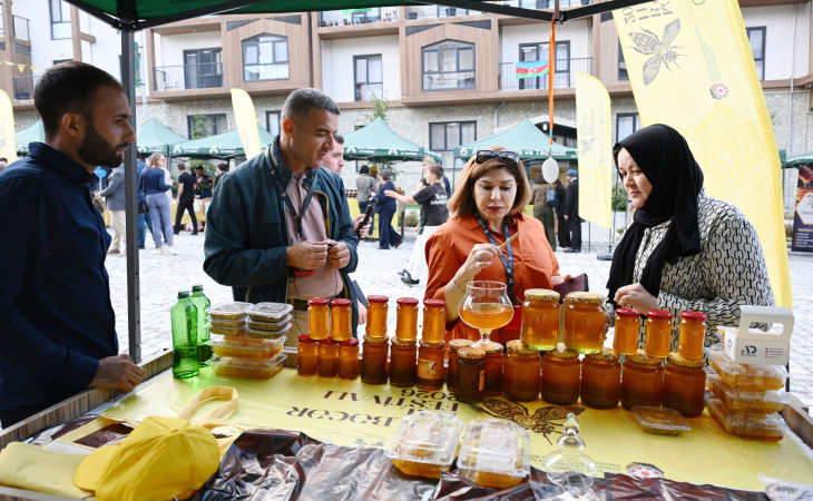 Kəlbəcərdə növbəti Bal Festivalı keçirilib 