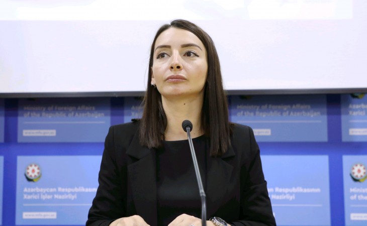 Лейла Абдуллаева: Армения широко использует террористические силы и наемников против Азербайджана
