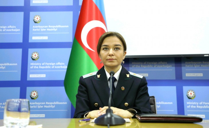 Günay Səlimzadə: Düşmənin dinc əhalini hədəfə alması nəticəsində həlak olan 24 mülki şəxsdən 5-i qadın, 3-ü uşaqdır