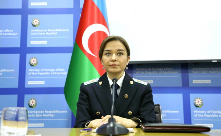 Günay Səlimzadə: Ermənistan ordusunun artilleriya atəşi nəticəsində xəsarət alan 121 mülki şəxsin 30-u qadın, 7-si uşaqdır