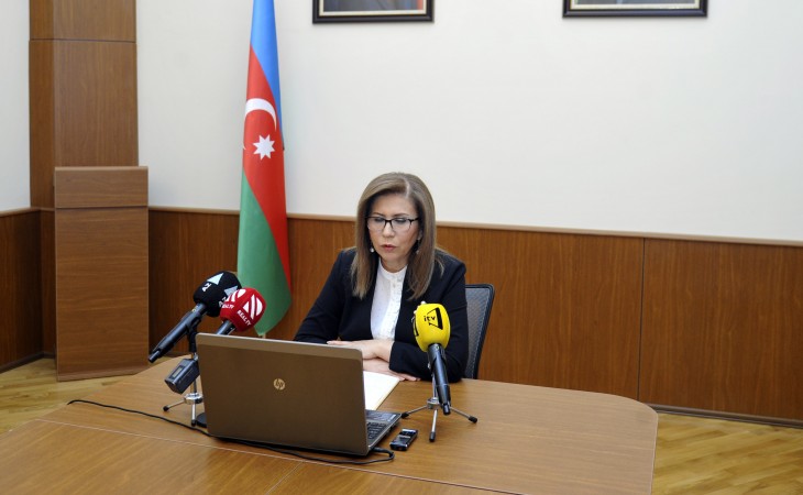 Məişət zorakılığı və uşaq hüquqları sahəsində qəbul edilmiş Milli Fəaliyyət planlarının videokonfrans formatında müzakirəsi keçirilib