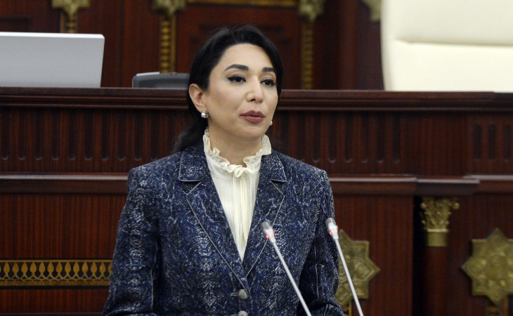 Səbinə Əliyeva: Beynəlxalq təşkilatlara Ermənistanın Azərbaycana qarşı hücumlarına dair 15 müraciət ünvanlanıb