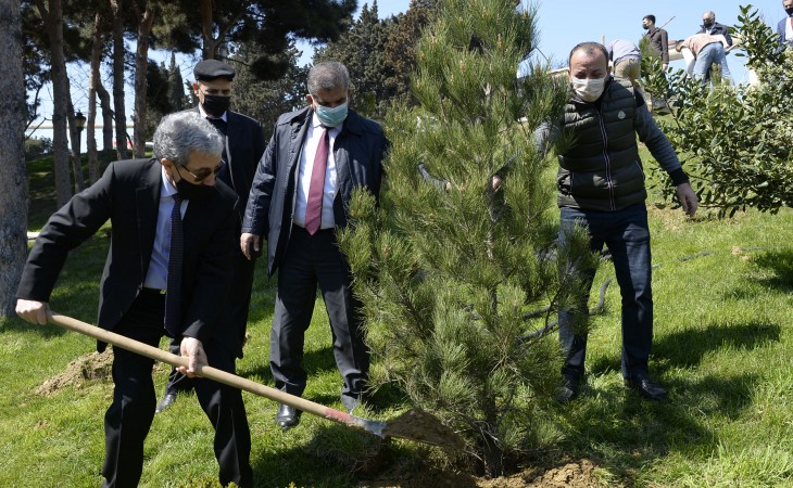Aprel döyüşlərinin ildönümü münasibətilə YAP Səbail rayon təşkilatının qarşısında ağacəkmə aksiyası keçirilib
