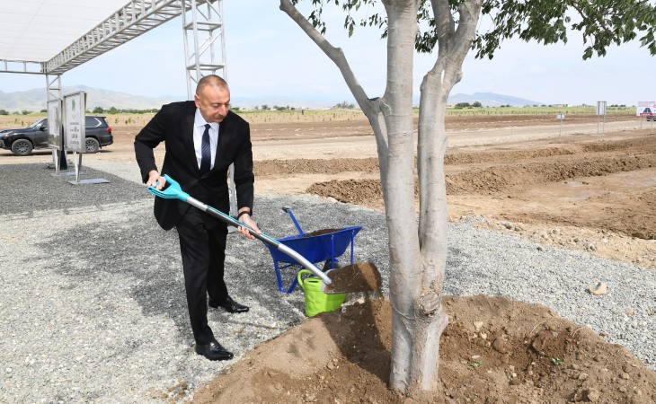 President Ilham Aliyev planted tree in Aghdam city forest park