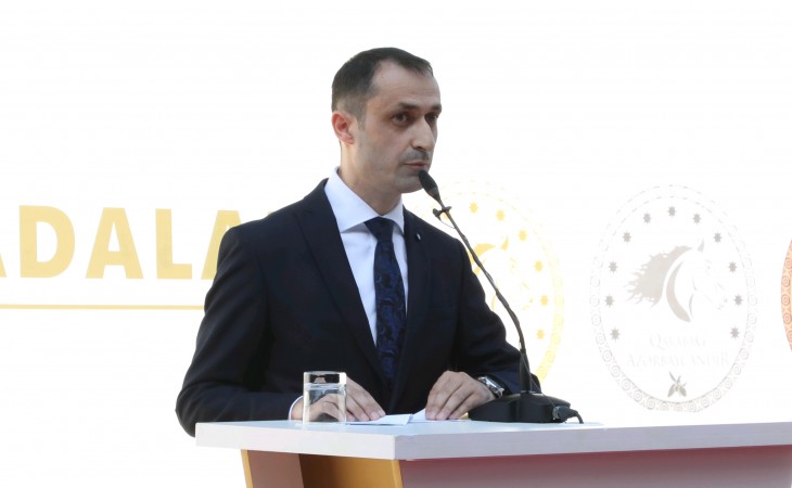 Respublika fənn olimpiadalarında 8 şagird “Birincilərin birincisi” nominasiyasına layiq görülüb