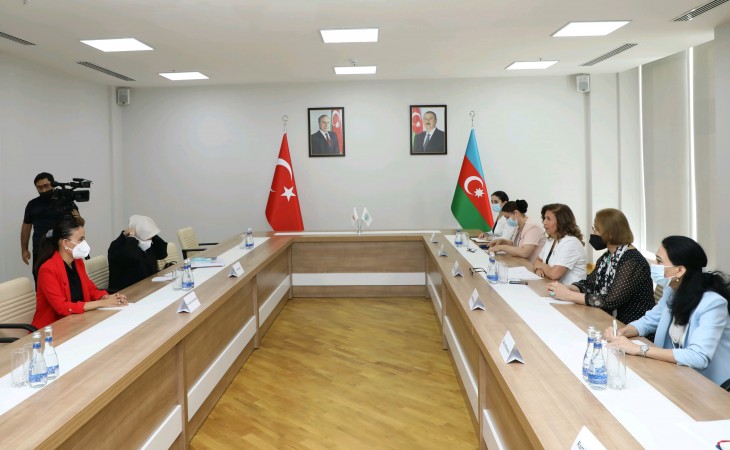YAP Mərkəzi Aparatında AK Parti Qadınlar Birliyinin sədri ilə görüş keçirilib