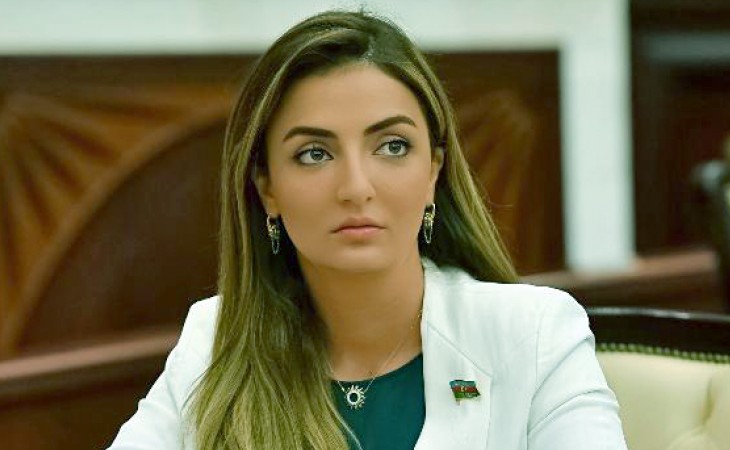 İstənilən pozucu fəaliyyətə qarşı öz vətəndaş mövqeyimizi nümayiş etdirməliyik