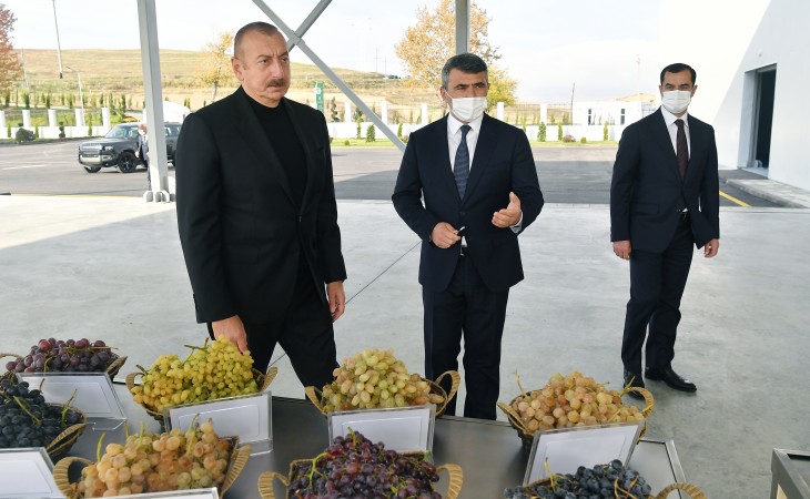 Shamakhi Grape Seedling Center inaugurated