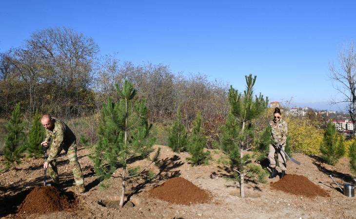 Restoration of Topkhana forest in Shusha started and a tree-planting campaign was held President Ilham Aliyev and First Lady Mehriban Aliyeva planted trees in Jidir Duzu