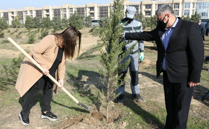 Zəfər Günü münasibətilə Milli Məclis tərəfindən Bakıda ağacəkmə aksiyası keçirilib