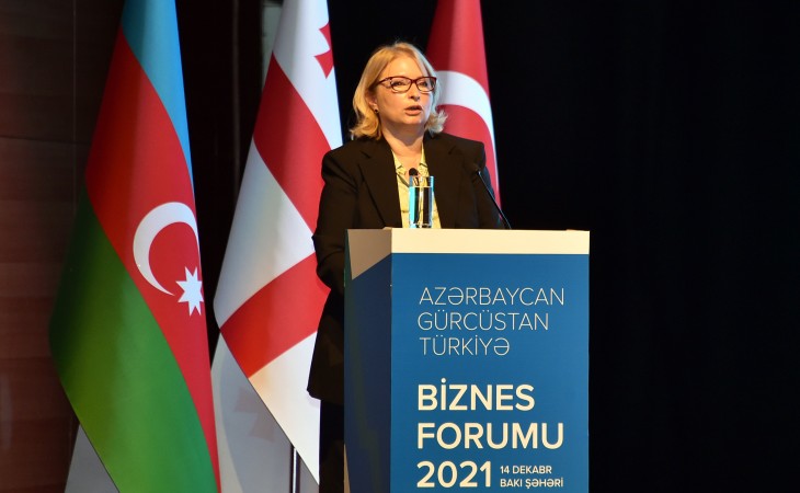 Gürcüstanda Azərbaycan və Türkiyə sərmayəsi ilə qurulan 1000-dək şirkət fəaliyyət göstərir