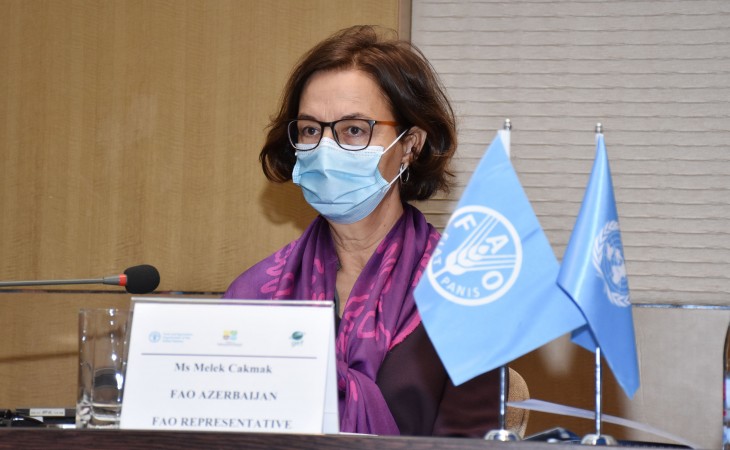 Mələk Çakmak: Bəsitçay Dövlət Təbiət Qoruğunda yeni idarəetmə sistemi qurula bilər