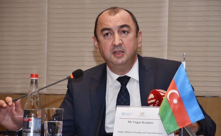 Vüqar Kərimov: Kürboyu ərazilərdə seyrəlmiş və məhv olmuş meşələr mərhələli şəkildə bərpa olunur