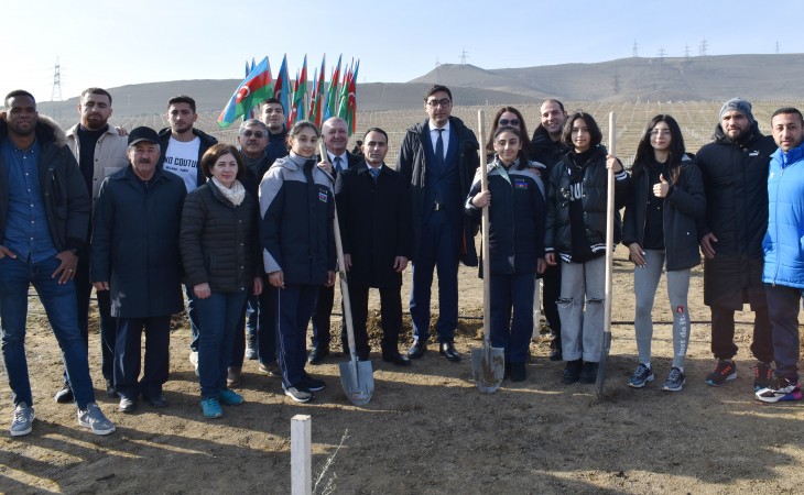 Xocasən gölünün ətrafında ağacəkmə aksiyası keçirilib