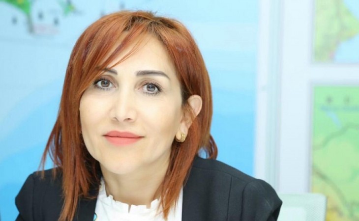 Tikinti işləri dayandırılıb