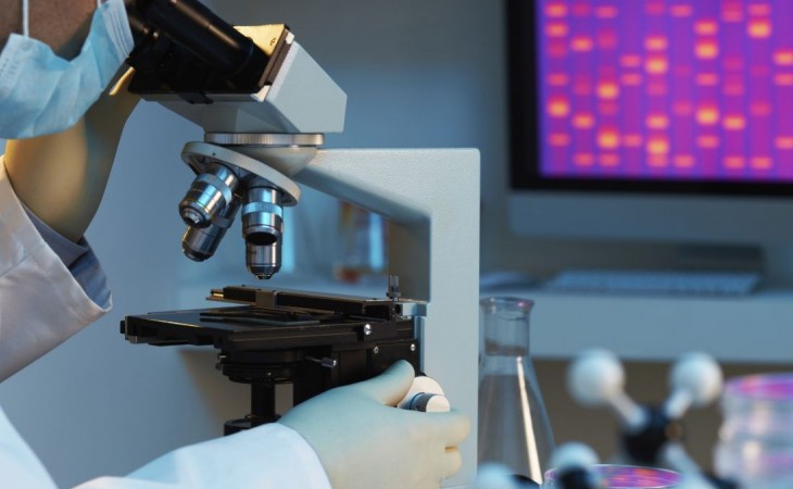 Alimlər qocalma prosesinin başlıca mexanizmlərini müəyyənləşdiriblər