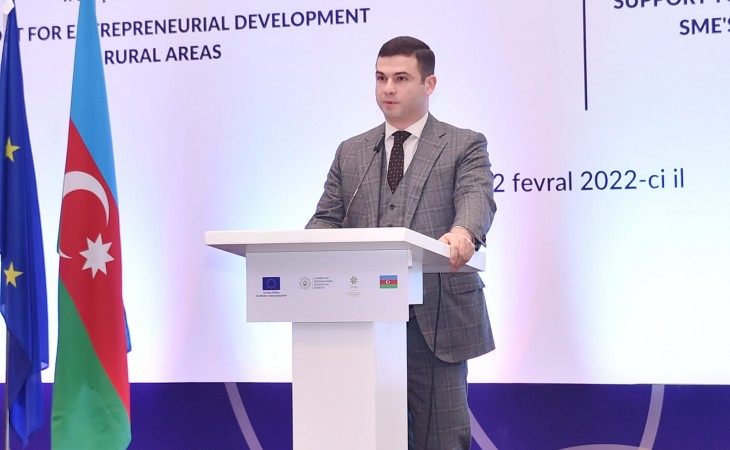 Avropa İttifaqının maliyyə dəstəyi ilə həyata keçirilən iki layihənin icrası yekunlaşıb