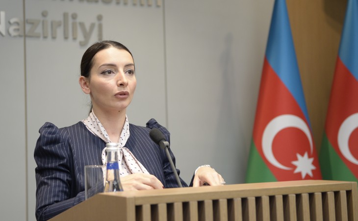 Leyla Abdullayeva: Bu günədək Ukraynadan 4000-ə yaxın azərbaycanlı sərhədi keçib