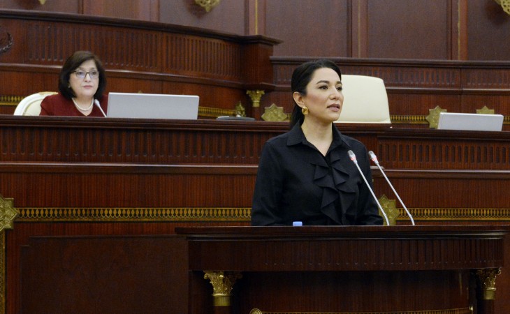 Ombudsman 2021-ci il üzrə məruzəsini Milli Məclisdə təqdim edib