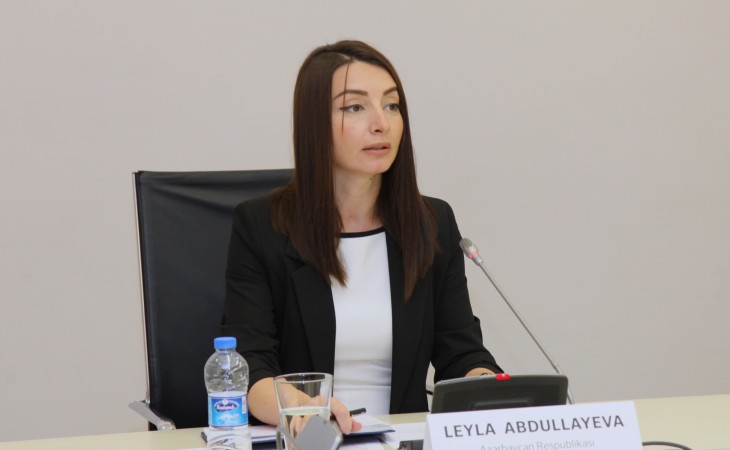 Leyla Abdullayeva: Beynəlxalq ictimaiyyət Ermənistanın təxribatını, yeni ərazilər əldə etmək cəhdini qətiyyətlə pislədi