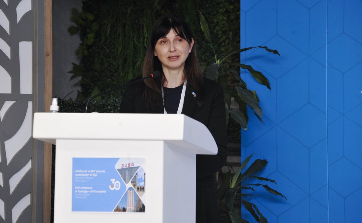 Vladanka Andreyeva: BMT-nin təsisatları azad edilmiş ərazilərin minalardan təmizlənməsində Azərbaycana kömək göstərəcək