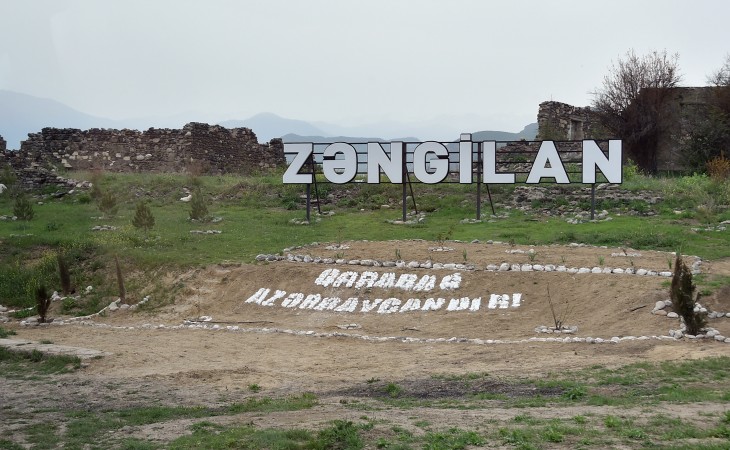 Quşlar ağacların budaqlarını özlərinə sığınacaq edirsə, deməli, bu yerlərə dönməyə dəyər...