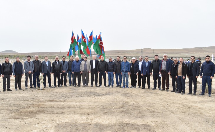 YAP və ETSN Beynəlxalq Yer Günü münasibətilə birgə ağacəkmə aksiyası keçiriblər