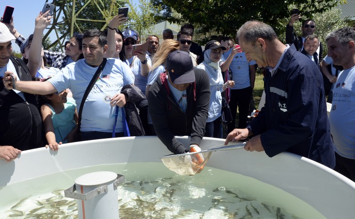 Yeddi yüzə yaxın balıq körpəsi Qızılağac Milli Parkının ərazisində suya buraxılıb