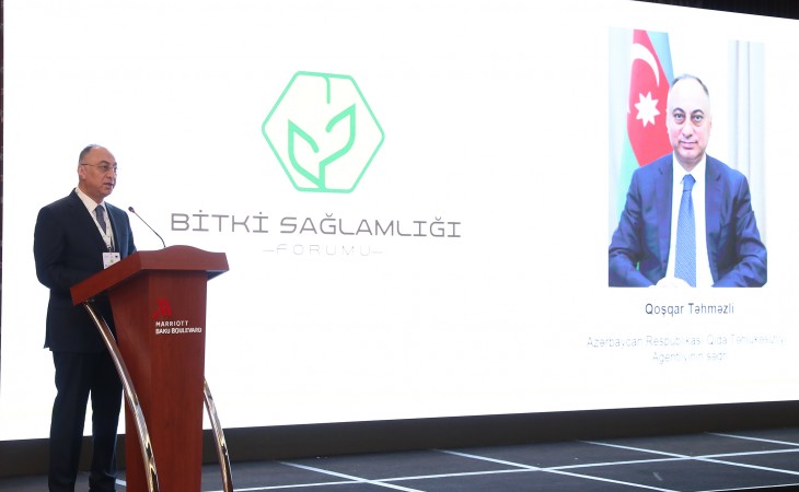 Bitki sağlamlığının təmin edilməsi ekoloji tarazlığın qorunması üçün olduqca əhəmiyyətli məsələyə çevrilir