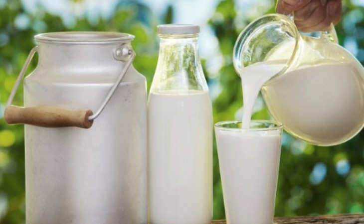 Altı ayda ölkəyə 5,5 min ton süd idxal olunub