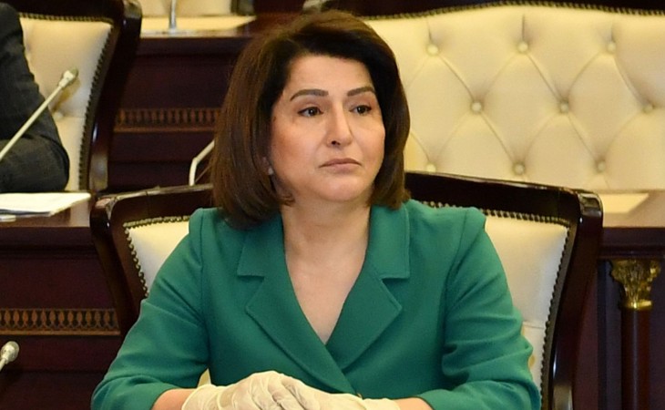 Azərbaycanın sürətli inkişafı, beynəlxalq mövqelərinin möhkəmlənməsi Ermənistanı və onun havadarlarını narahat edir
