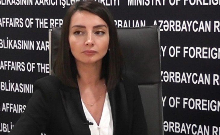 Лейла Абдуллаева: Азербайджано-турецкие военные учения вносят вклад в укрепление регионального мира и безопасности