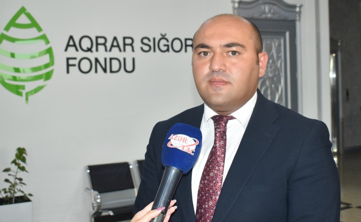 Firdovsi Ağaşirinov: Aqrar Sığorta Fondu risklərin təminatını gələcəkdə də operativ həyata keçirəcək