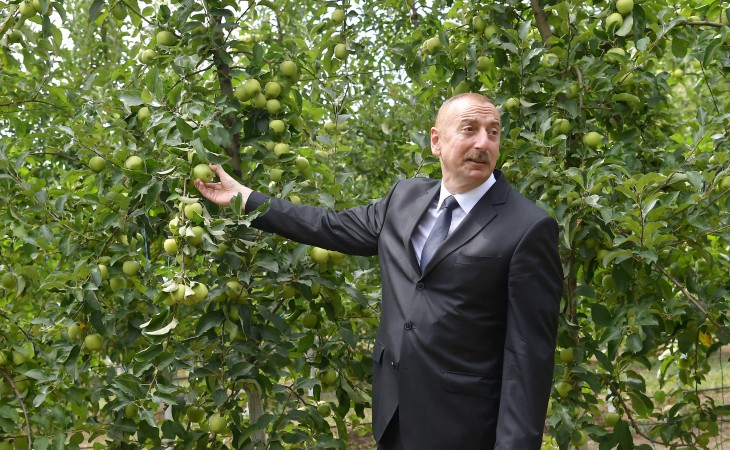 President Ilham Aliyev viewed “Bal meyvə” gardening in Balakan