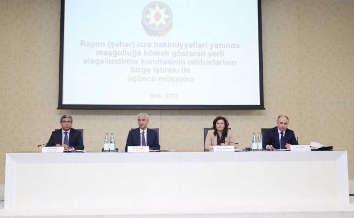 Məşğulluğa kömək göstərən əlaqələndirmə komitələrinin fəaliyyətinə dair növbəti respublika müşavirəsi keçirilib