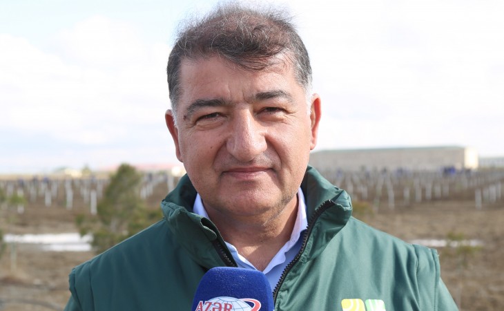 Firdovsi Əliyev: Ağacəkmə aksiyalarının ekoloji təbliğat cəhətdən mühüm əhəmiyyəti var
