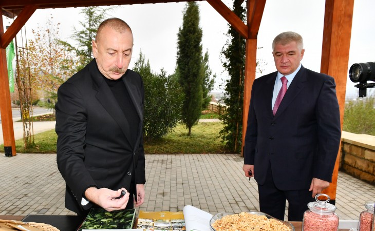 President Ilham Aliyev viewed conditions created at Shaki-Oghuz Agropark