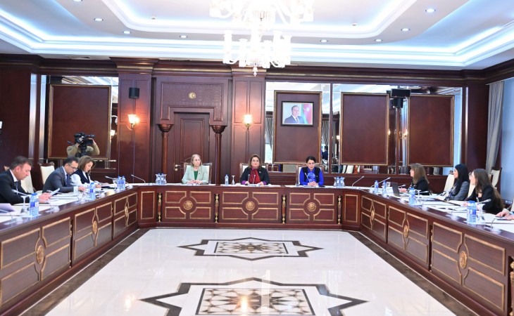 Milli Məclisdə Ailə, qadın və uşaq məsələləri komitəsinin illik hesabatı dinlənilir