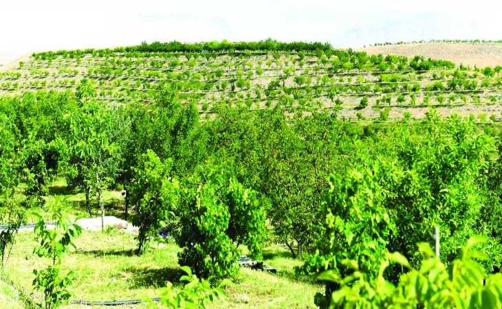Ekoloji tarazlığın qorunması istiqamətində işlər davam etdirilir