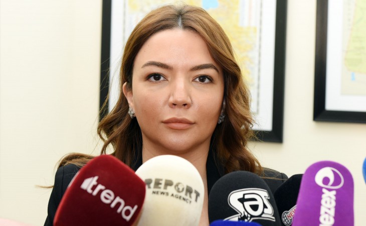 Агентство господдержки НПО объявило грантовый конкурс проектов, связанных с Западным Азербайджаном