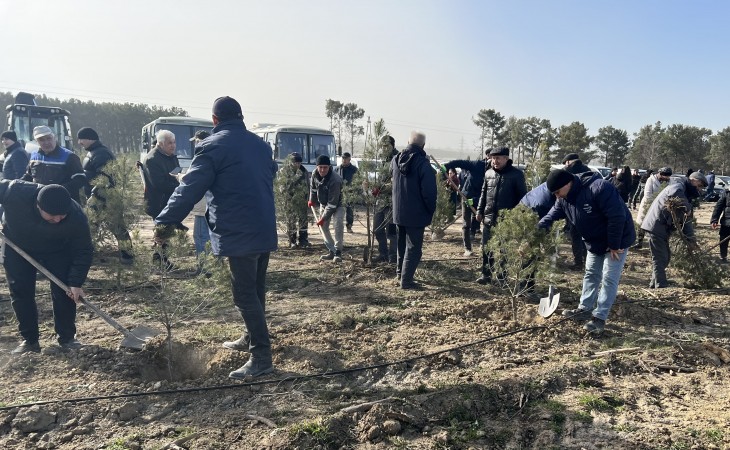 Ulu Öndərin 100 illik yubileyinə həsr olunmuş ağacəkmə aksiyası keçirilib